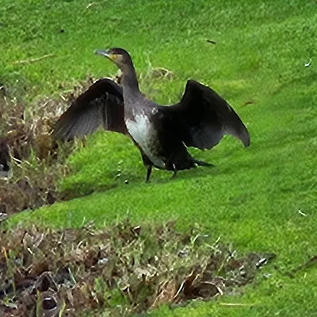 Apartman Night & Day *