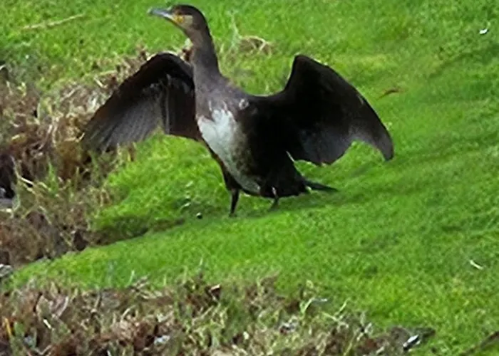 Apartment Night & Day *